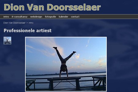 website Dion Van Doorsselaer